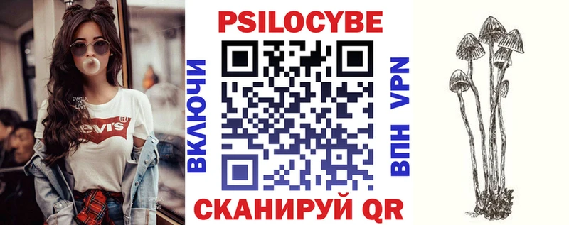 Псилоцибиновые грибы Cubensis  купить наркотики сайты  Димитровград 