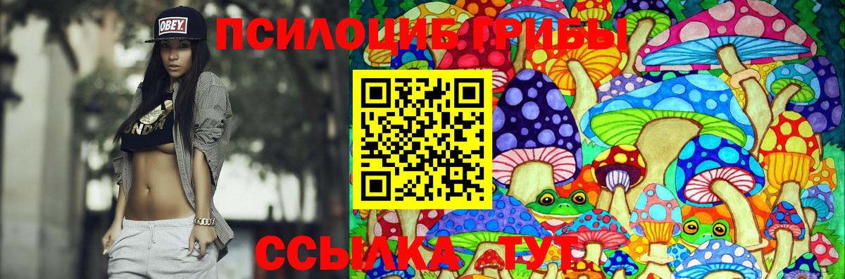 Псилоцибиновые грибы Magic Shrooms Димитровград