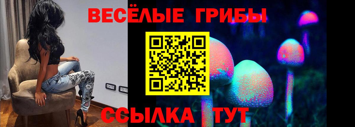Псилоцибиновые грибы прущие грибы  Галлюциногенные грибы Psilocybe  Димитровград  Вход с VPN 