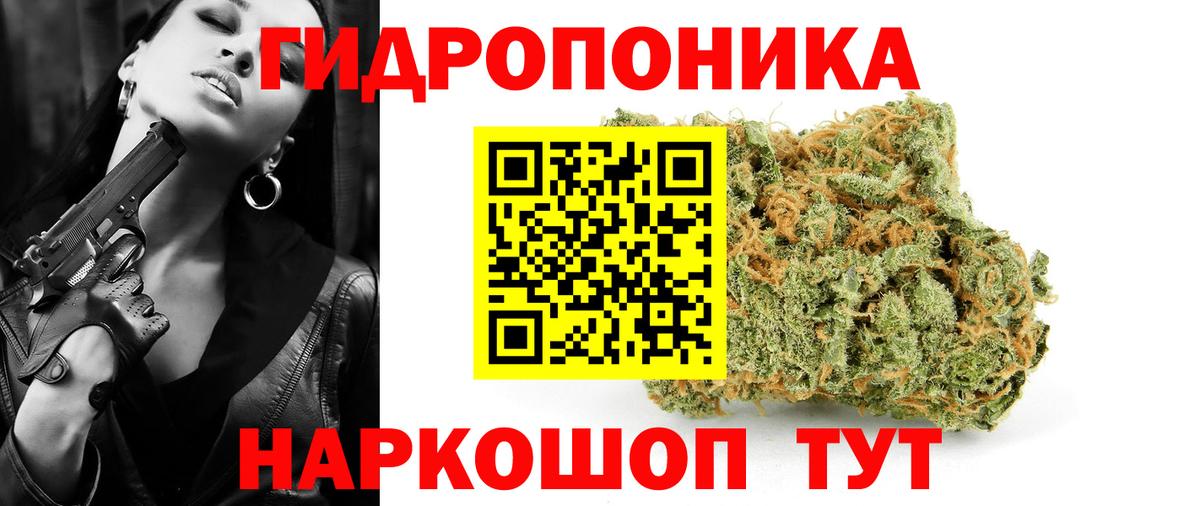 Бошки Шишки индика Димитровград